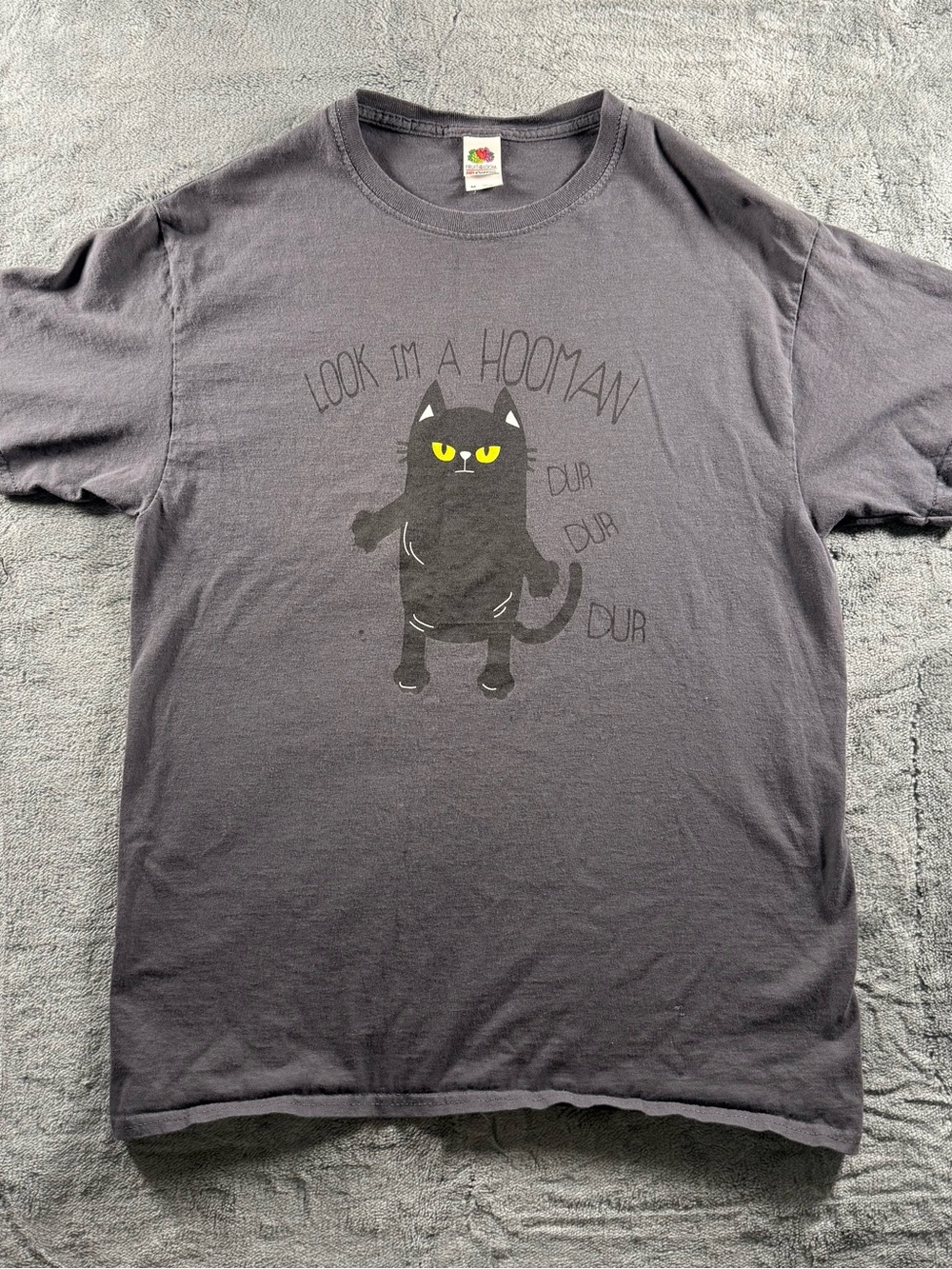 Fruit of The Loom Look Im A Hooman Dur Dur Dur Cat Graphic Gray Women’s Size M